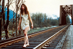 Twin Peaks / la série