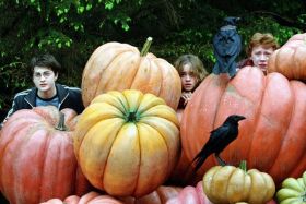harry-potter-et-le-prisonnier-d-azkaban_WEB
