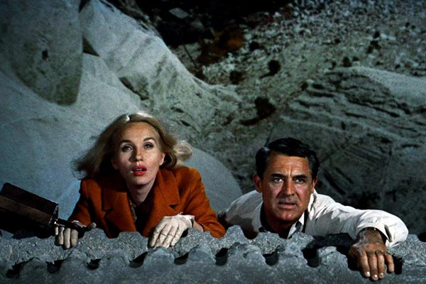 La Mort aux trousses | Passion Cinéma