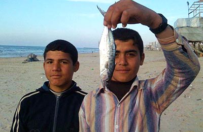 Aisheen (chroniques de Gaza)