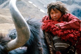Himalaya, l’enfance d’un chef
