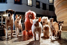 babe-un-cochon-dans-la-ville_WEB