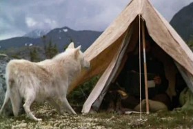 Un Homme parmi les loups