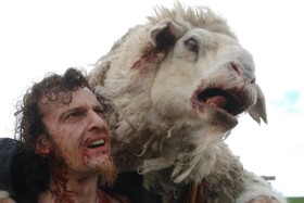Black Sheep