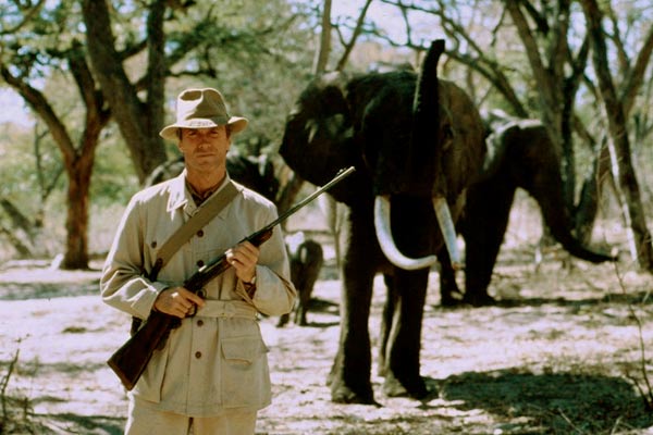 Chasseur blanc, cœur noir