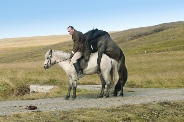 Des chevaux et des hommes