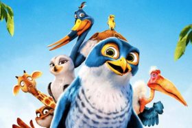Drôles d’oiseaux