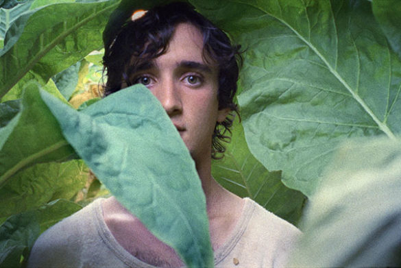 Heureux comme Lazzaro