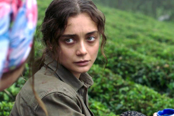 Sibel
