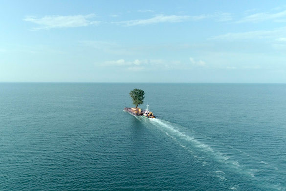 La Balade des grands arbres